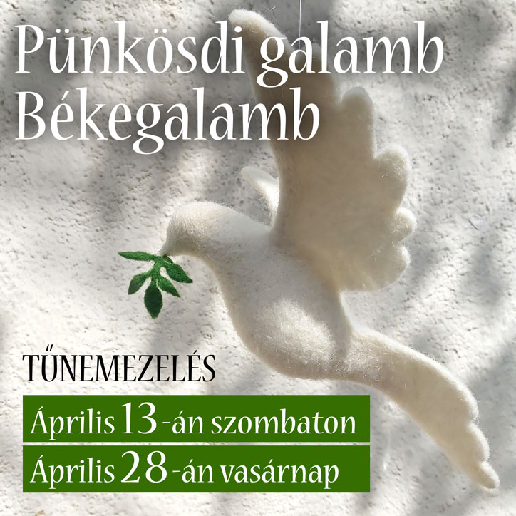 TÅ±nemezelÃ©s GabirkÃ¡val