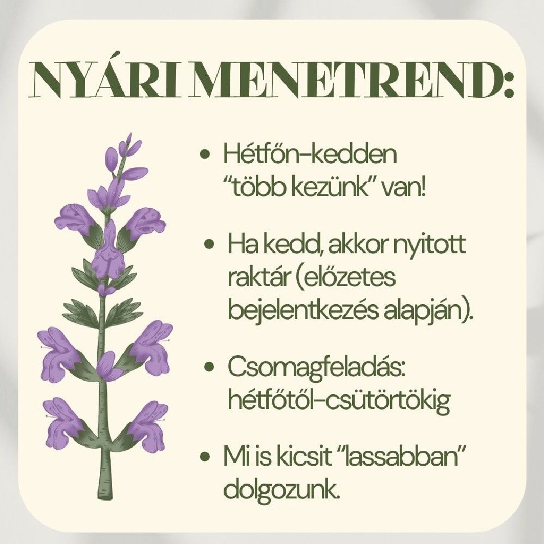 Nyári menetrend