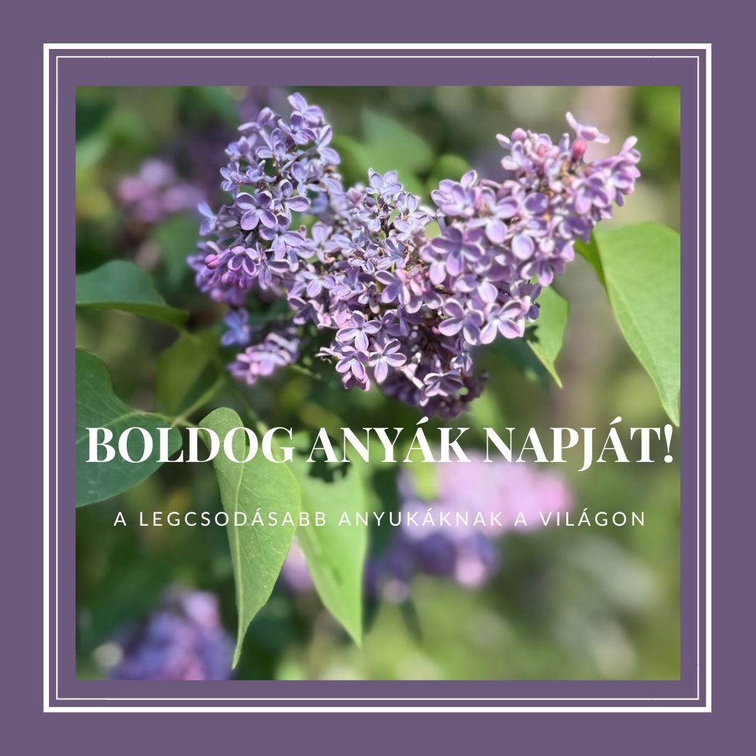 Jövő héten Anyák Napja!
